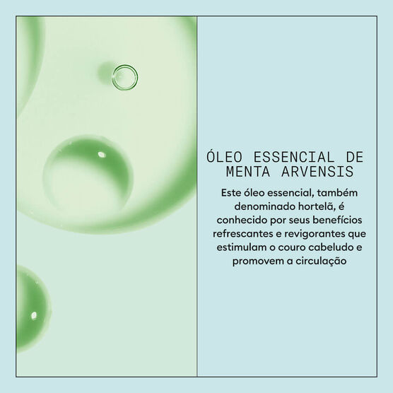 Shampoo Anticaspa Purificante para Couro Cabeludo Nioxin